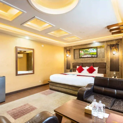 Luxurious Suite